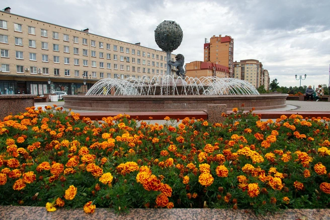 Источник: Артём Важинский/предоставлено пресс-службой администрации Петродворцового района