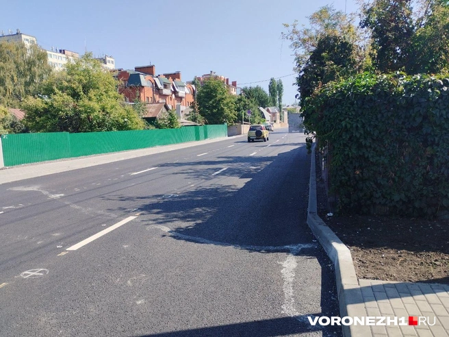 Источник: Дмитрий Волгин / Voronezh1.ru
