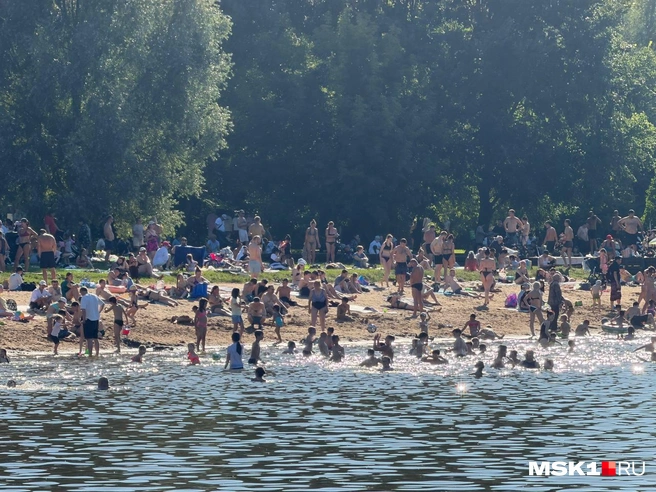 Взрослые и дети купаются в пруду, несмотря на запрет | Источник: Вера Борисова / MSK1.RU