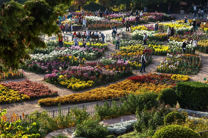 Хищники в центре Москвы и цветущий кофе в Петербурге: 5 лучших ботанических садов России