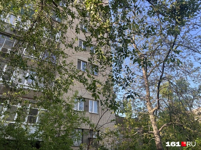 Жилой дом находится буквально в десяти метрах от стройки | Источник: Алина Заярная / 161.RU