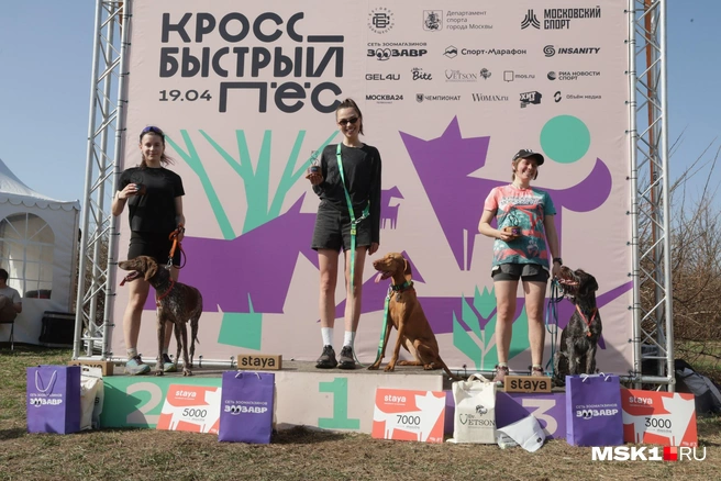 Источник: Дмитрий Толстошеев / MSK1.RU