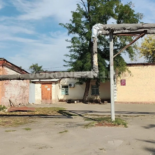 Источник: Татьяна Тельпис / Voronezh1.ru