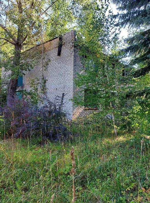 Лагерь расположен на площади 3 га | Источник: torgi.gov.ru
