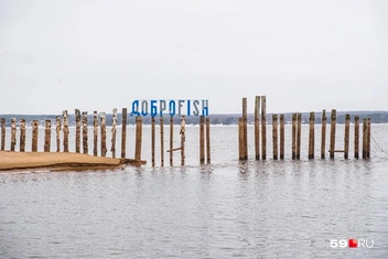 Симпатичная вывеска с названием фермы встречает нас прямо с воды | Источник: Тимофей Калмаков / 59.RU
