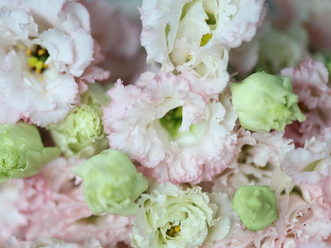 Часть комментаторов предпочитает дарить учителям не цветы, а другие, более практичные подарки | Источник: Мария Тищенко