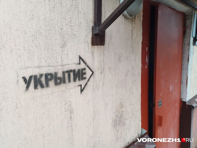 Источник: Дмитрий Волгин / Voronezh1.ru