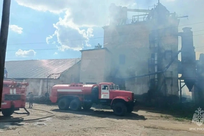 Пожар на сельхозпредприятии в Алтайском крае охватил 4 тыс. кв. м