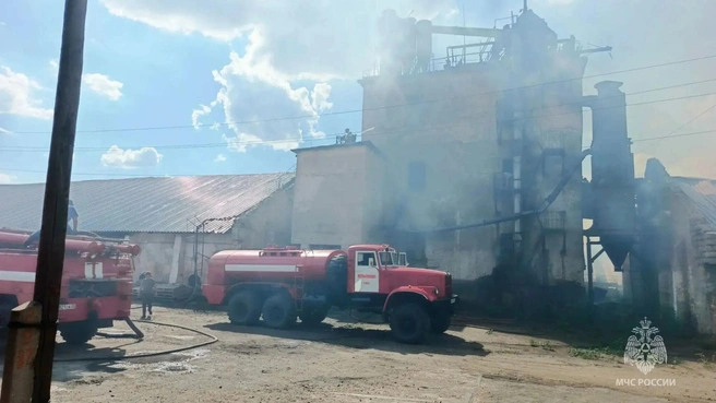 Пожар тушили 19 сотрудников МЧС | Источник: МЧС Алтайского края