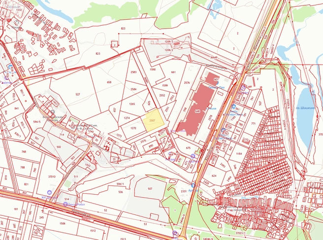Участок под парковку выделен желтым | Источник: публичная кадастровая карта