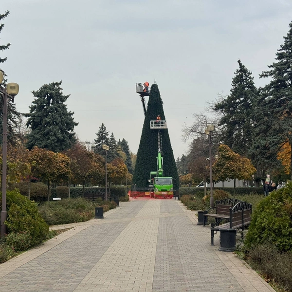 Новогодняя елка установлена над памятником Шурику и Лидочке | Источник: Дарья Паращенко / 93.RU