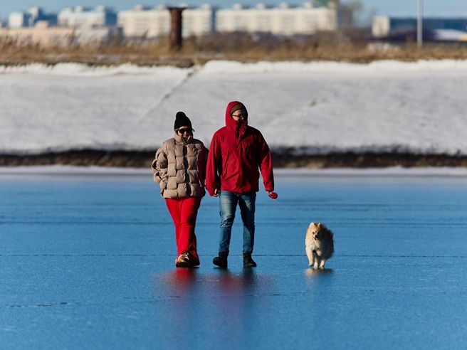 Другие взяли с собой домашних животных | Источник: Александр Ощепков / NGS.RU
