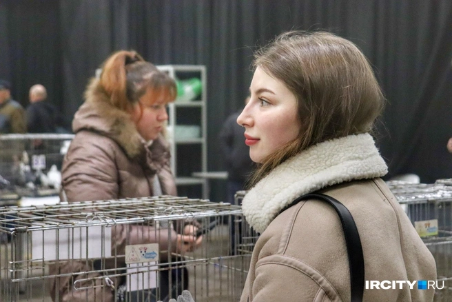 На выставку пришли совершенно разные люди | Источник: Алена Кашпарова / «ИрСити»