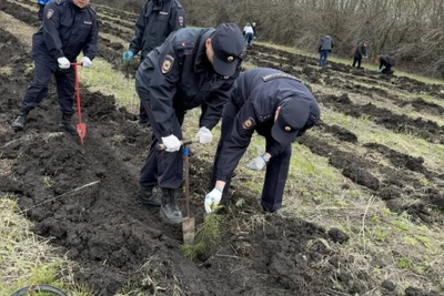 Полицейские и «Тигр» высадили аллею в «Саду Памяти»