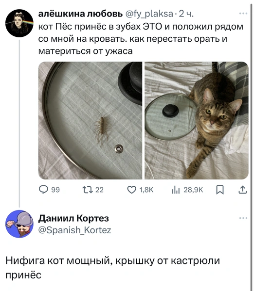 Источник: Twitter (X)