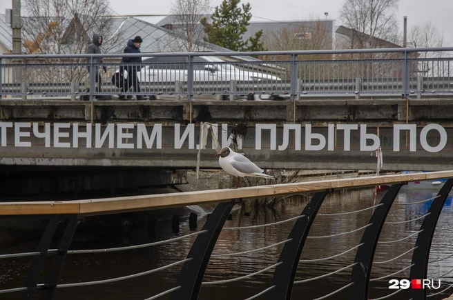Источник: Александр Тонких
