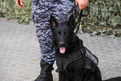 Проверка школ Ессентуков на минирование завершена