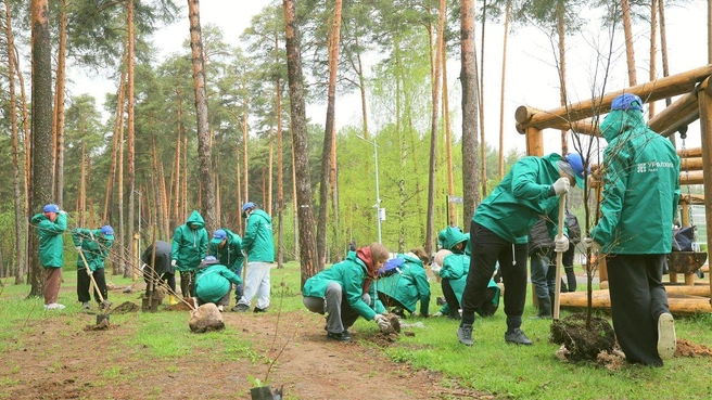 «Уралхим» ежегодно с 2023 года высаживает деревья в Черняевском лесу | Источник: «ОХК «Уралхим»