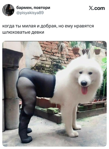 Источник: X (Twitter)