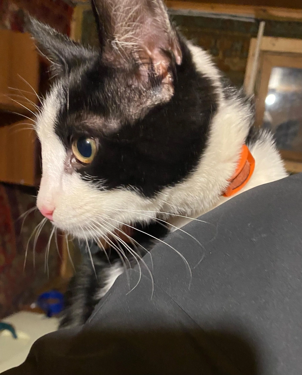 Источник: Елена Славинскене