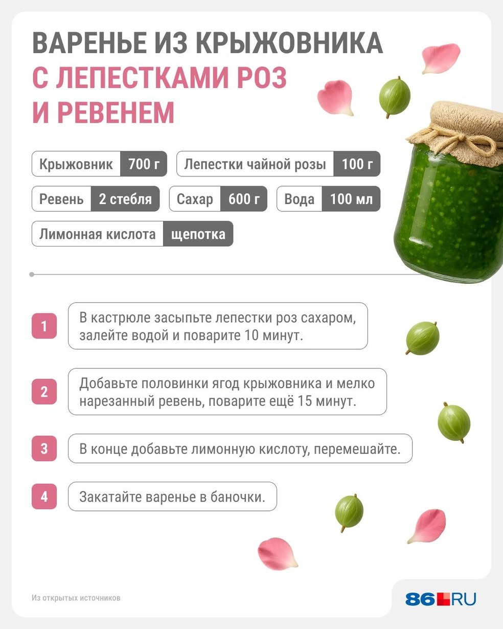 Рецепт варенья из крыжовника с лепестками роз | Источник: Юрий Скулыбердин / Городские медиа