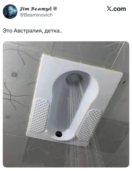 Источник: X (Twitter)