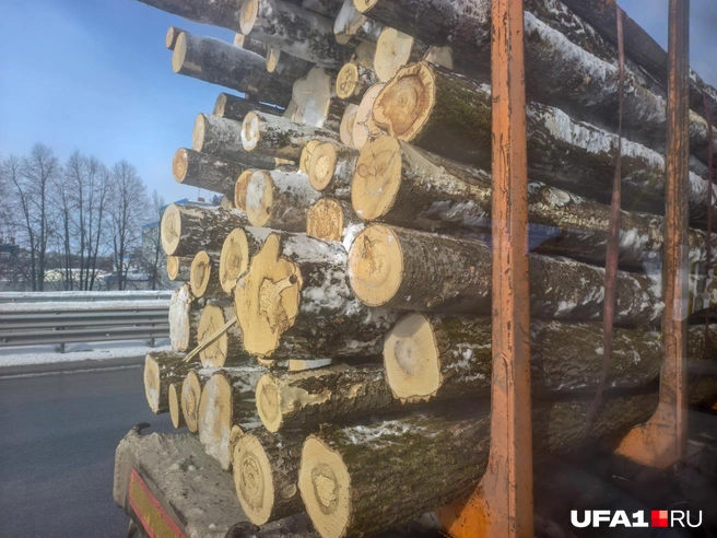 Вспоминается один фильм ужасов | Источник: Булат Салихов / UFA1.RU