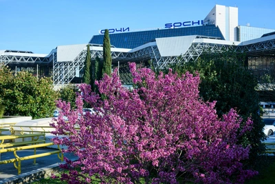 Сочинский аэропорт вводит летний график полетов с 29 марта