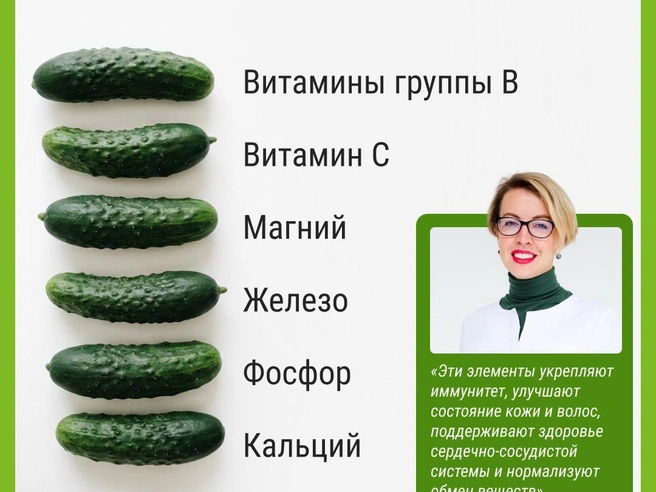 Полезные для организма свойства огурцов | Источник: Мария Романова / Городские медиа