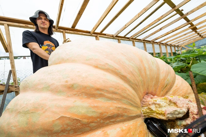 Источник: Артем Устюжанин / MSK1.RU