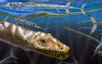 Самая длинная шея: посмотрите на «китайского дракона», который бороздил моря 240 млн лет назад