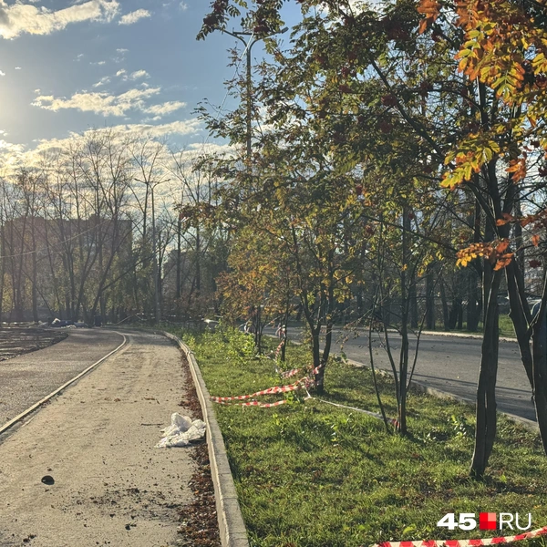Источник: Юлия Король / 45.RU