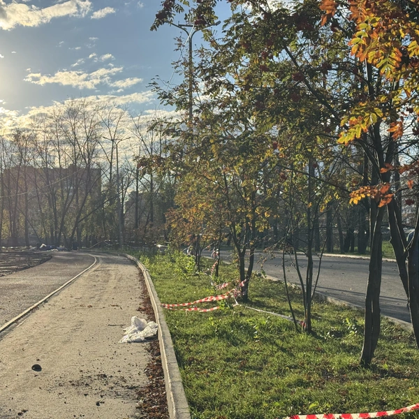 Источник: Юлия Король / 45.RU