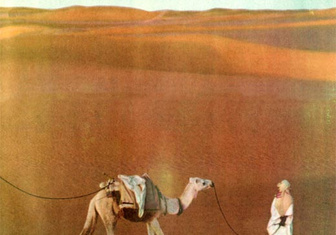 Сахара: человек и пустыня