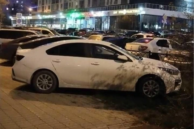 Фанаты оккупировали газон в Екатеринбурге