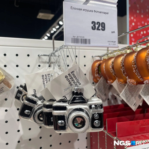 В подарок фотографу&nbsp;— 299 рублей | Источник: Алёна Золотухина / NGS.RU