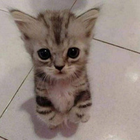 Аватарка Катя