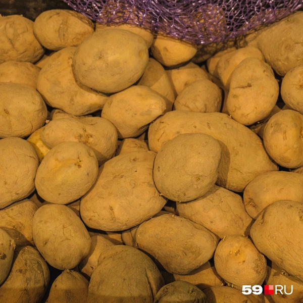 Самая дешевая картошка | Источник: Тимофей Калмаков / 59.RU