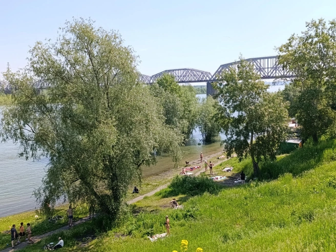 Летом прибрежная зона часто используется как неорганизованный пляж | Источник: Стас Соколов / NGS.RU