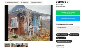 Источник: Avito.ru