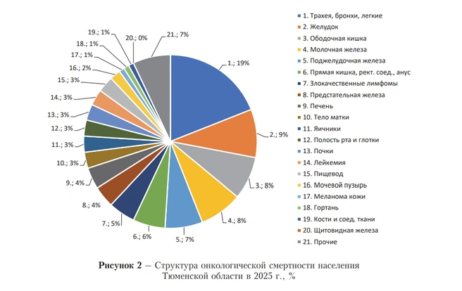 Врачи показали структуру онкологической смертности населения | Источник: Департамент здравоохранения Тюменской области