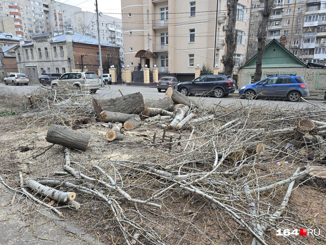 Так 2 апреля выглядела улица Рабочая в центре Саратова | Источник: Семен Коротов-Майбах / 164.RU