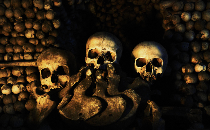 «Бутылочные горлышки» человечества: 3 теории ученых о глобальном вымирании людей в далеком прошлом
