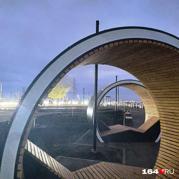 Источник: Сергей Гендин / 164.RU