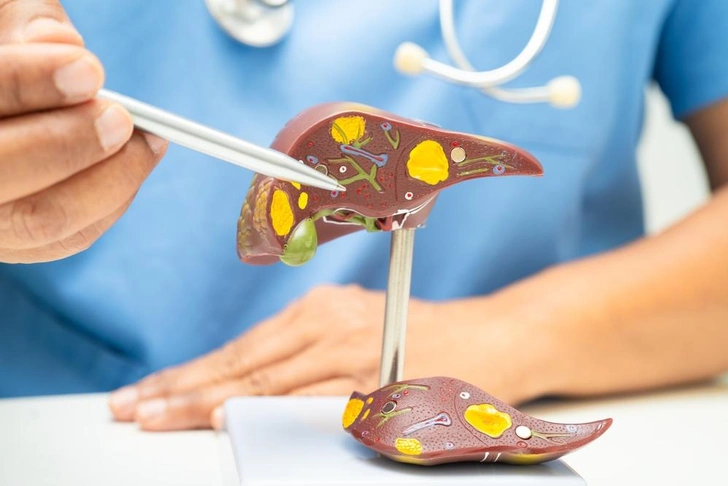 Источник: Shutterstock/Fotodom.ru