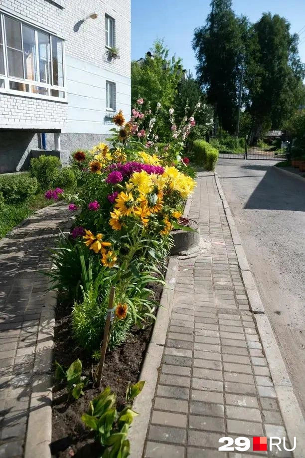 Источник: Иван Митюшёв / 29.RU