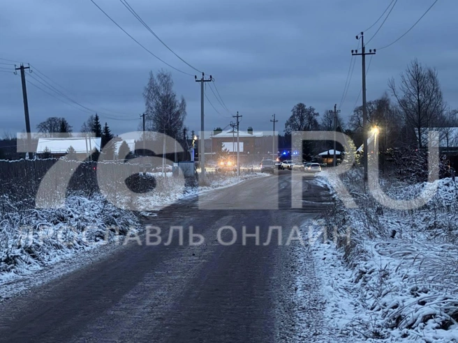 В Ивановской области разбился самолет | Источник: Алина Сардекова / 76.RU