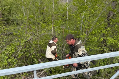 Субботник на лесных территориях Республики Адыгея