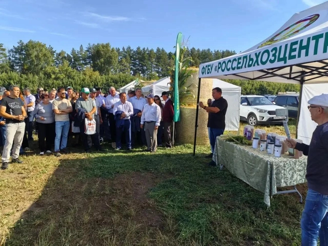 Источник: agro.tatarstan.ru