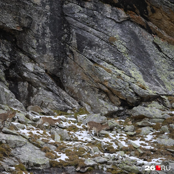 Нетронутые красоты Узункола | Источник: Иван Высочинский / 26.RU